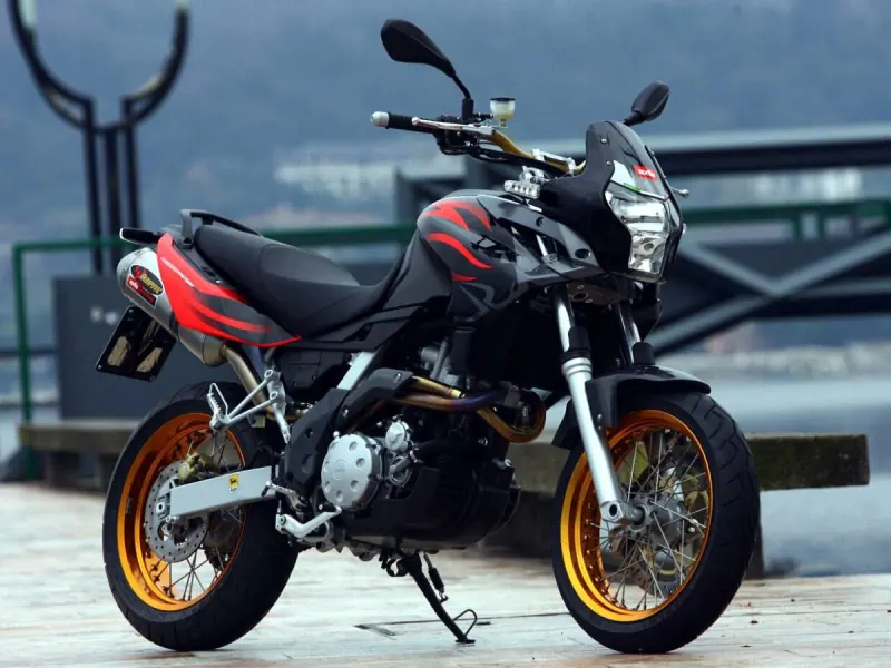 Download the Aprilia Pegaso 650 Strada 2005 Workshop Manual PDF for free.