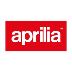 Manual de Taller Moto Aprilia RST Mille 2002