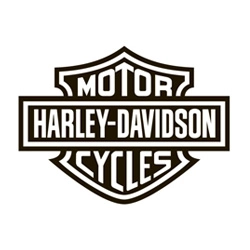 Harley Davidson VRSCA 2003 Motorrad-Werkstatthandbuch