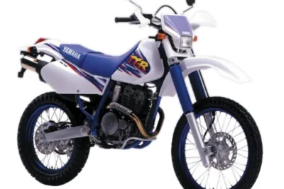 Descargar Manual de Taller Yamaha TTR 250 L PDF Gratis